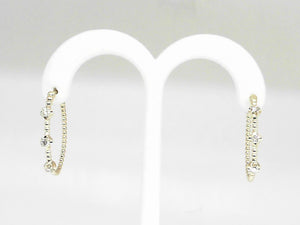 14k Yellow Gold Diamond (0.43ctw) Beaded Hoop Earrings