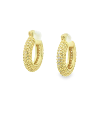 Gold Filled CZ Pave Hoop Earrings