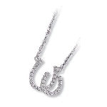 Sterling Silver Horseshoe CZ Necklace